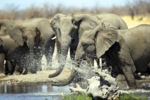 namibia-botswana-rundreise-gruppenreise