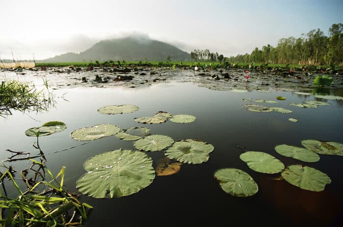 vietnam-individuelle-rundreise-schiffsreise-mekong