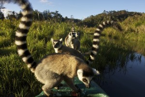 Geführte Rundreisen durch Madagaskar