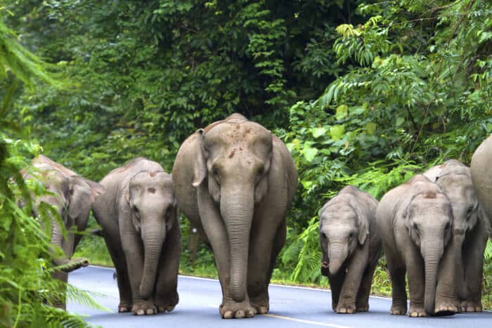 Kultur und Tempel in Thailand