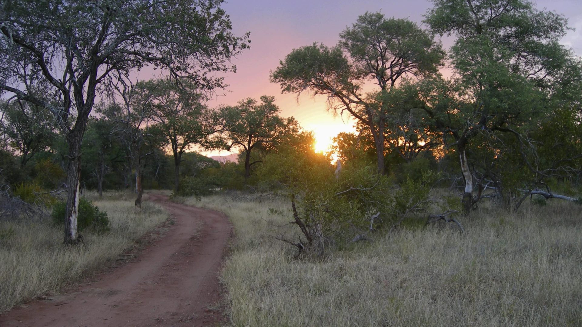 Südafrika – beste Reisezeit für Südafrika