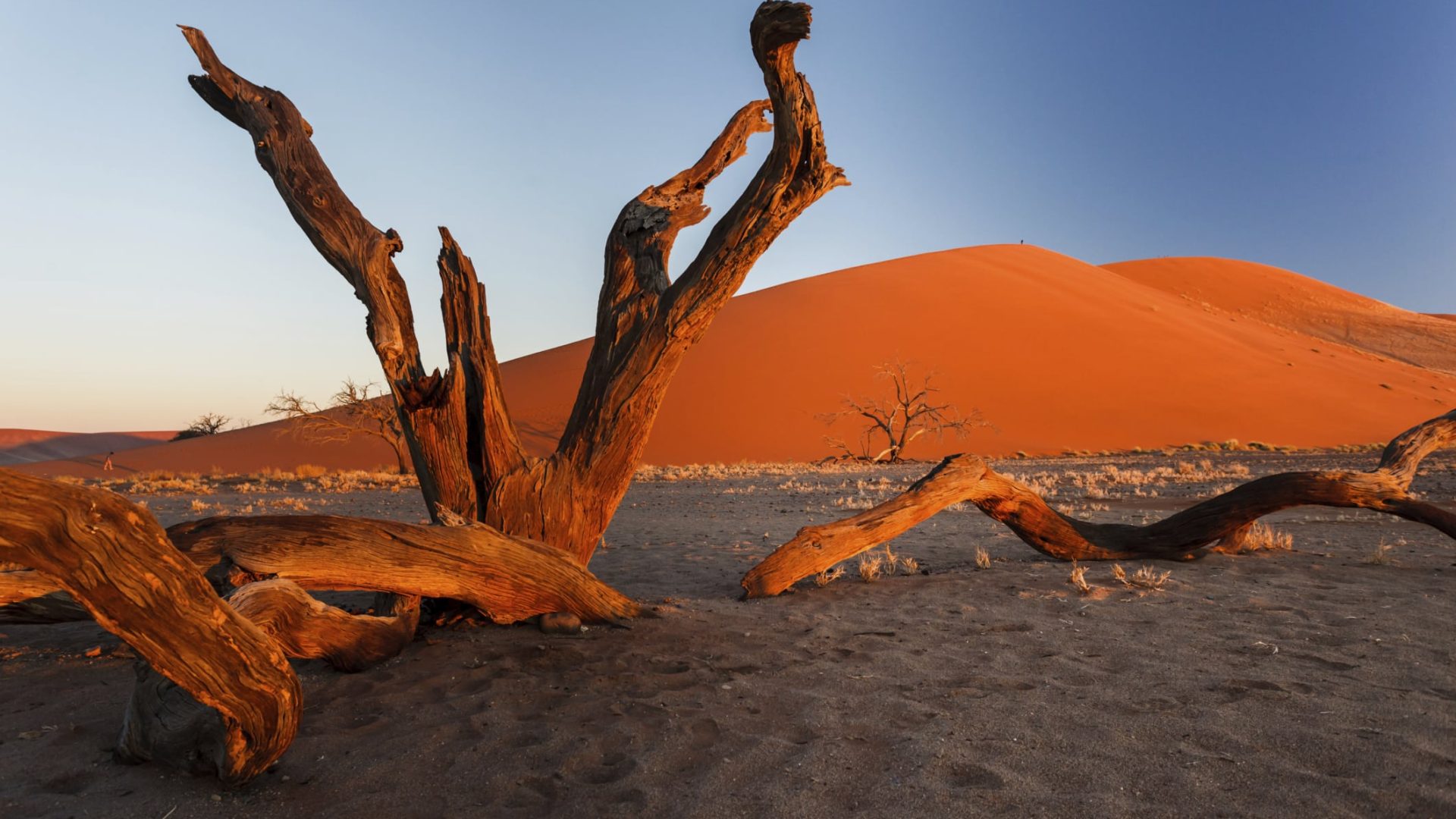 Impfungen und medizinische Hinweise für Namibia Reisen