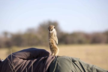 Die richtige Kleidung für eine Südafrika Safari