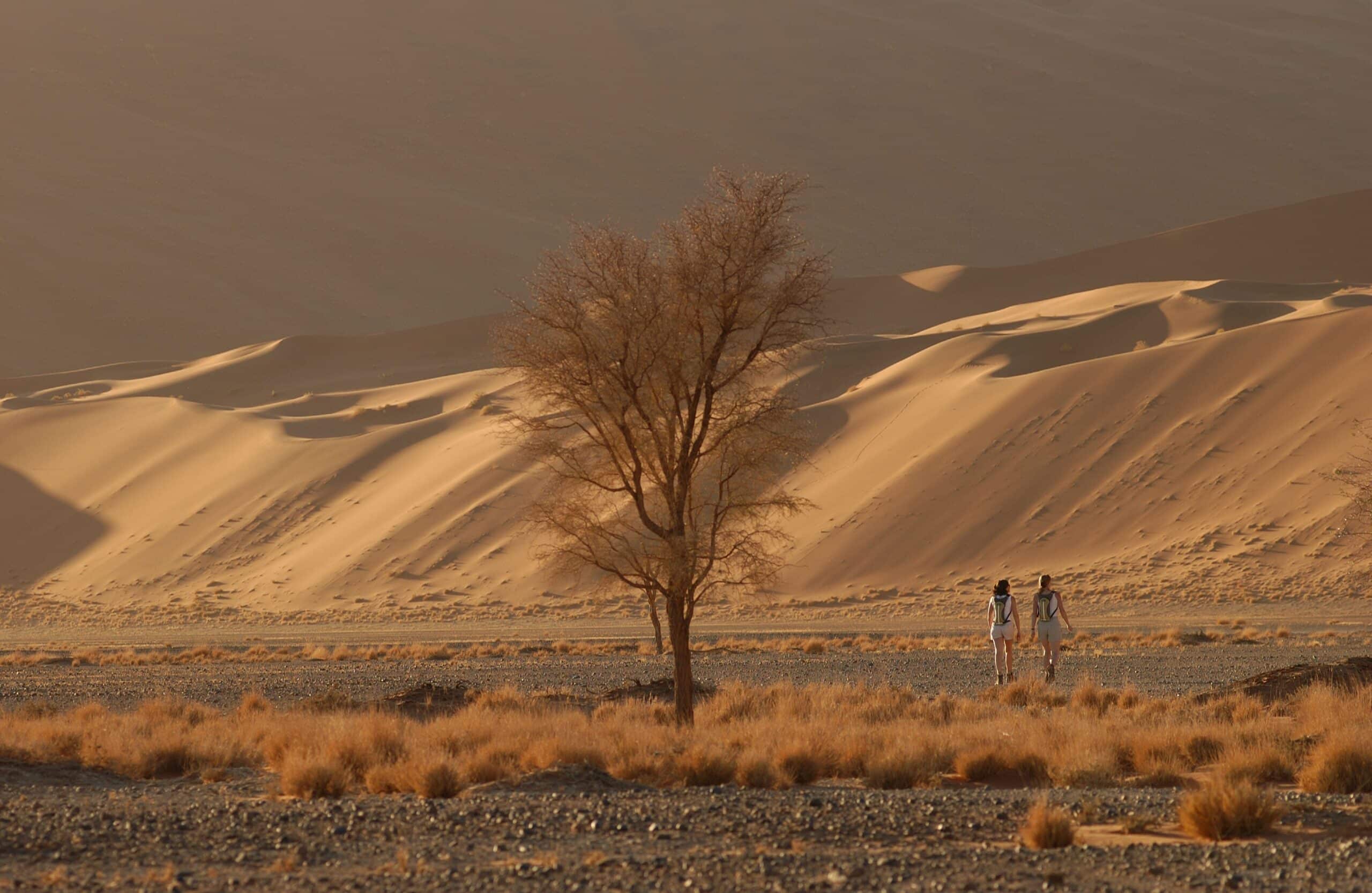 Wandern auf dem Tok Tokie Trail - Namibia