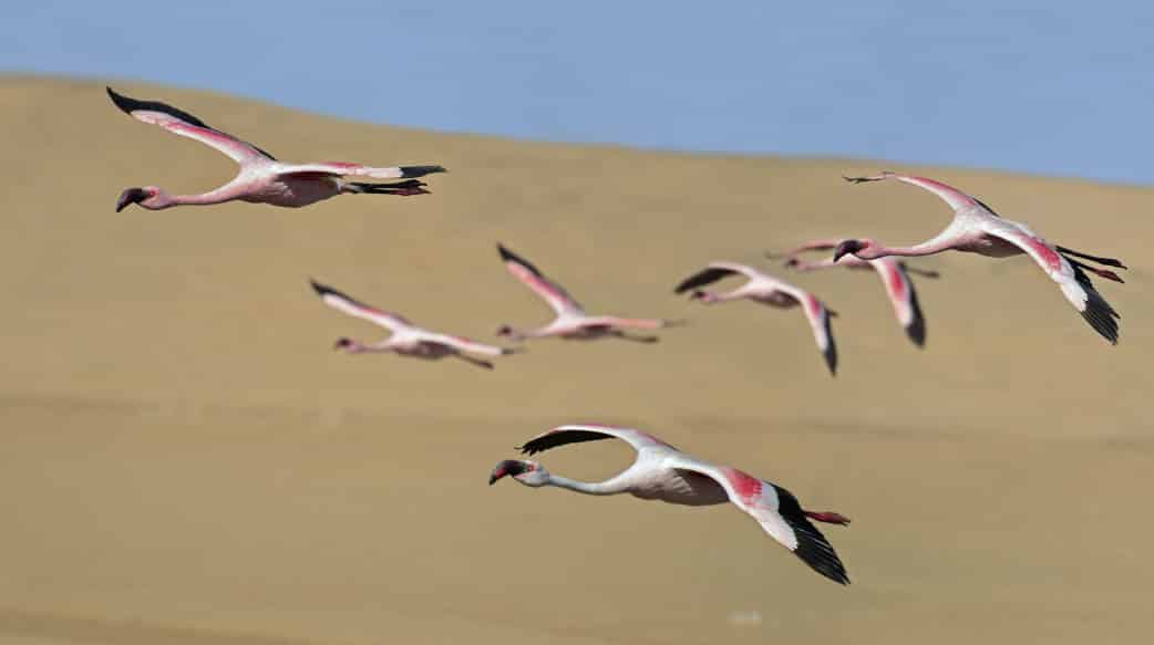 Abreise in Richtung n’Kwazi Lodge - Namibia