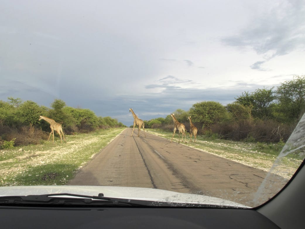 Namibia Selbstfahrrereise Erfahrung