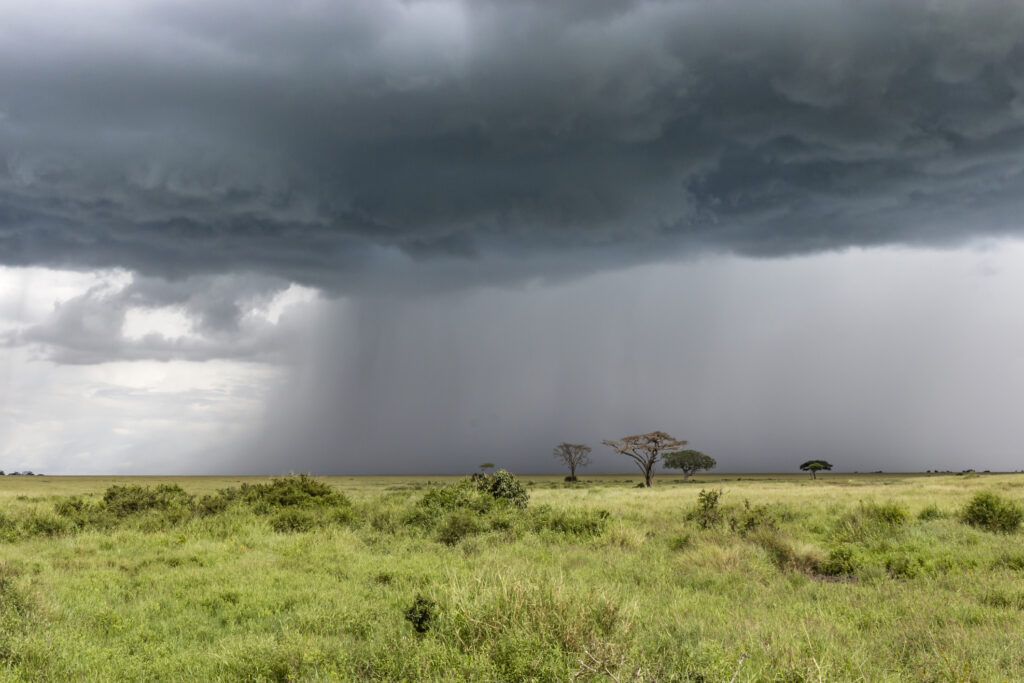 Regen während eines Sturms in den Ebenen der Serengeti