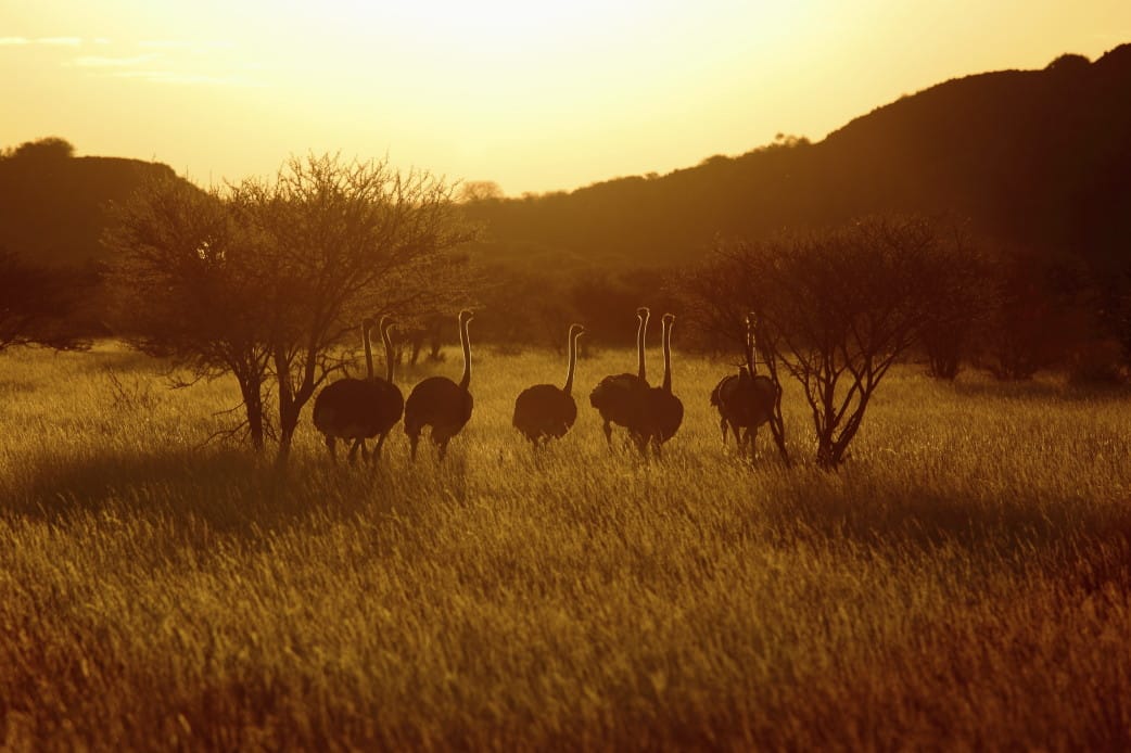 Selbstfahrerreise durch Namibia - Reisebericht