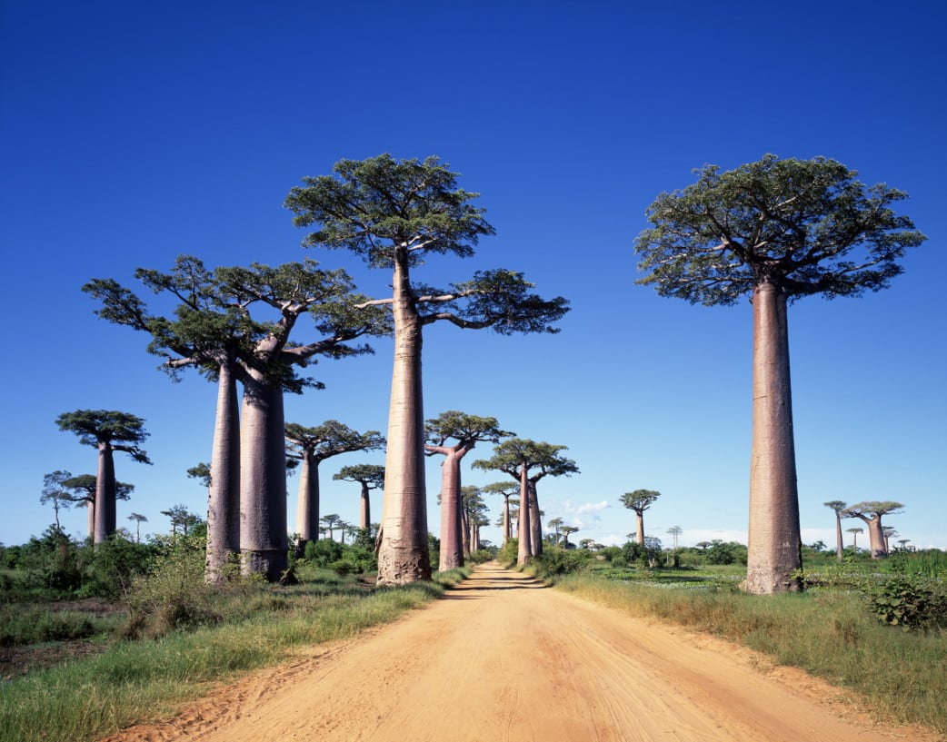 Madagaskar-Reisen mit Natürlich Reisen