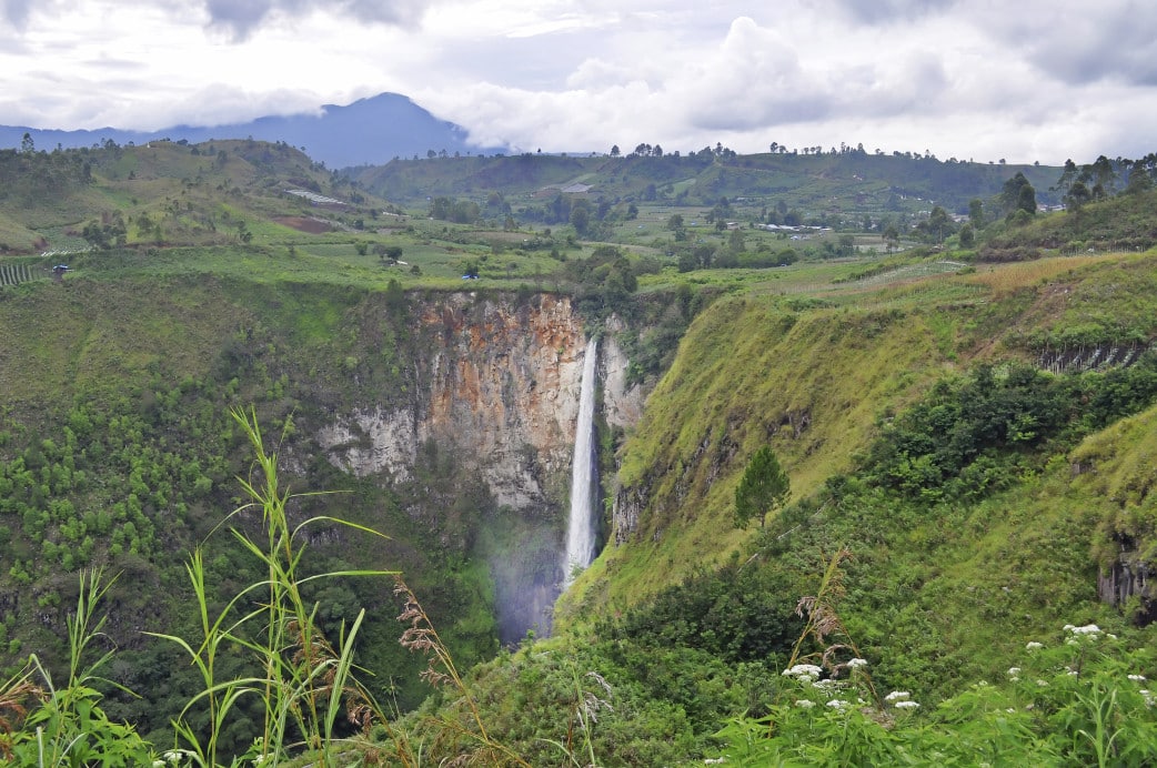 Regenwald auf Sumatra während einer Indonesien Reise mit Kindern