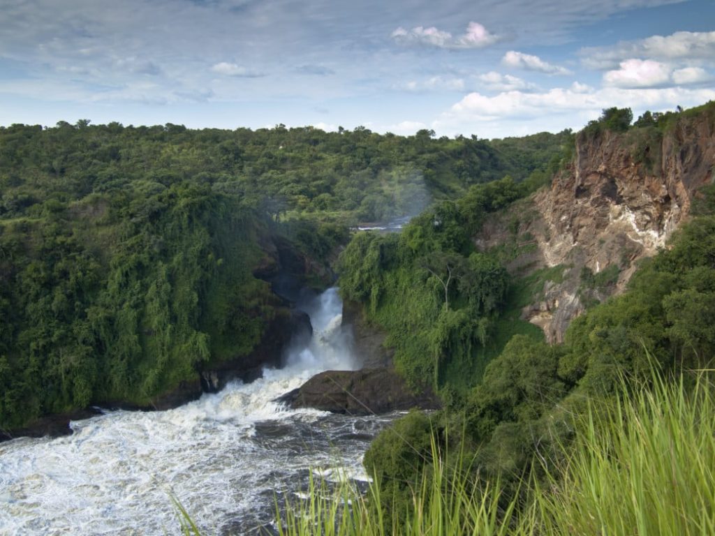Murchinson Falls Tour in Uganda