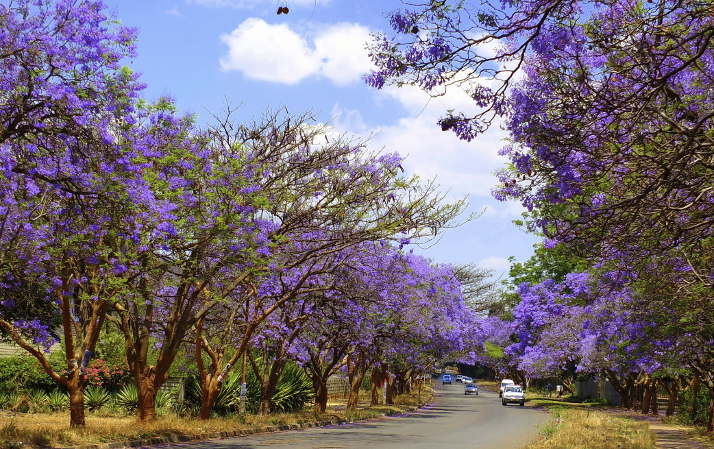 Landschaft in Simbabwe auf dem bestehenden Titelbild