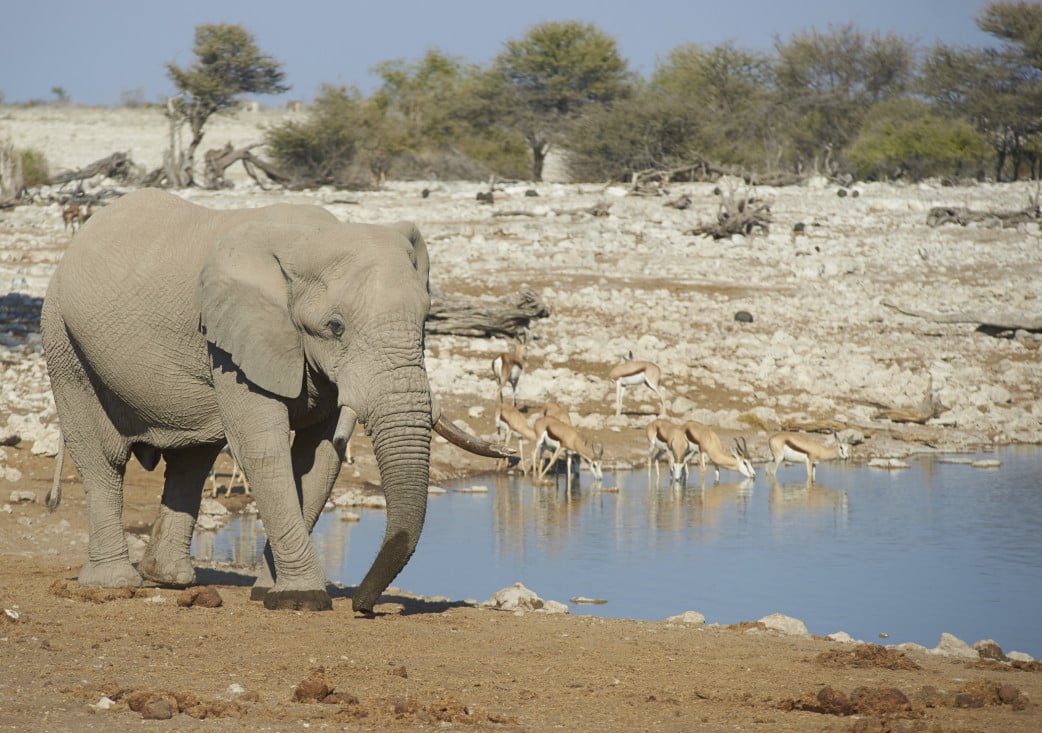 Dolomite Camp - Namibia - Reisen