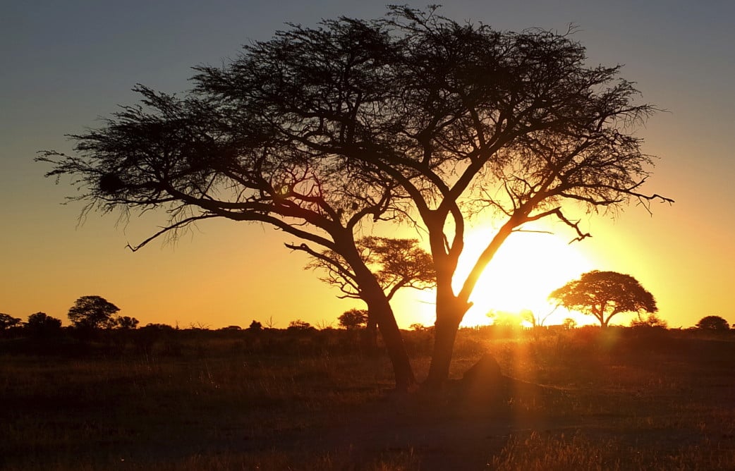 Simbabwe hautnah erleben - Rundreise