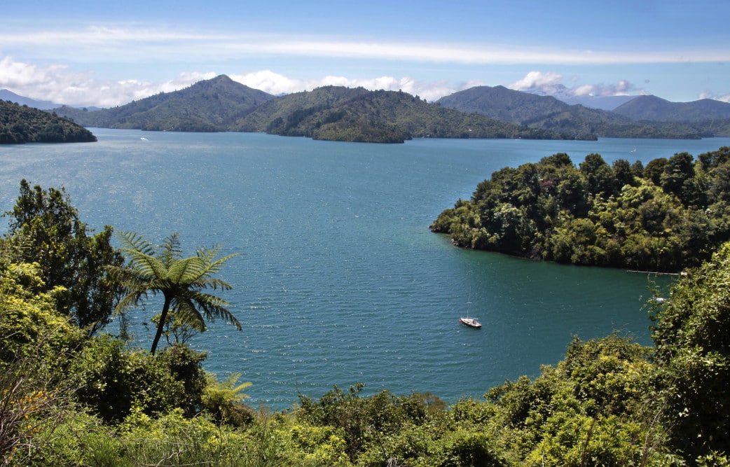 Marlborough Sounds - Suedinsel - Neuseeland