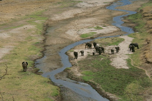 Tansania Sehenswürdigkeiten - Tarangire Nationalpark