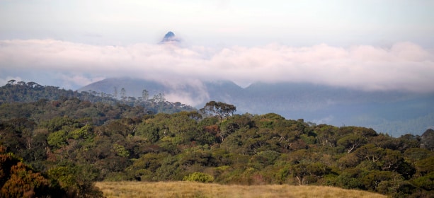 Panoram Rundreise Adams Peak in Sri Lanka