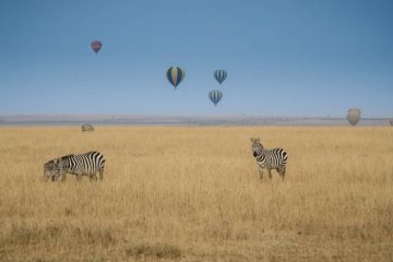 Safari im Heißluftballon in Tansania