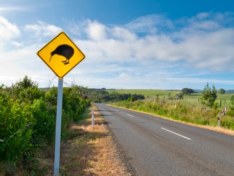 Vorsicht Kiwis - Neuseeland Tour