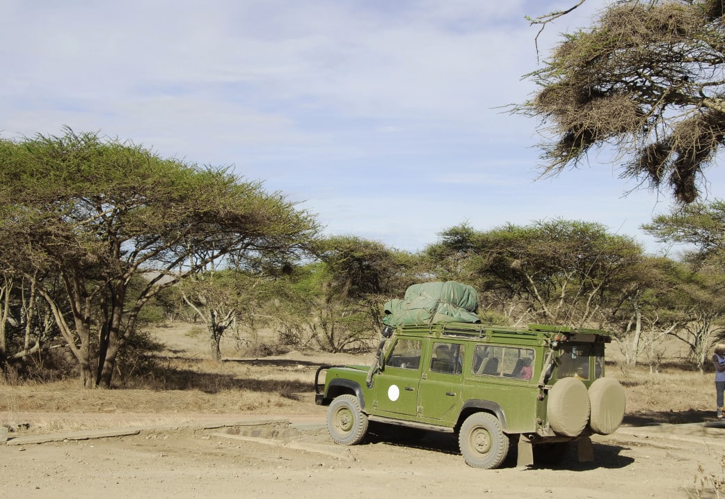 Krüger Nationalpark- Safari