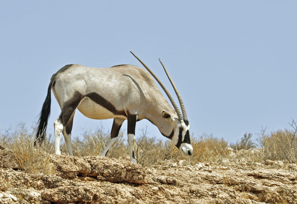 Reise mit dem Mietwagen - Suedafrika