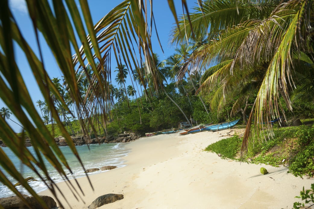 Palmengesäumter Strand an Sri Lankas Süd- und Westküste