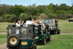Tourist auf Elefantensafari in Sri Lanka