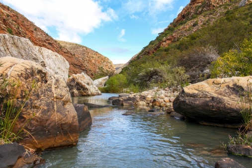 Sehenswürdigkeiten Südafrika - Kariega Game Reserve