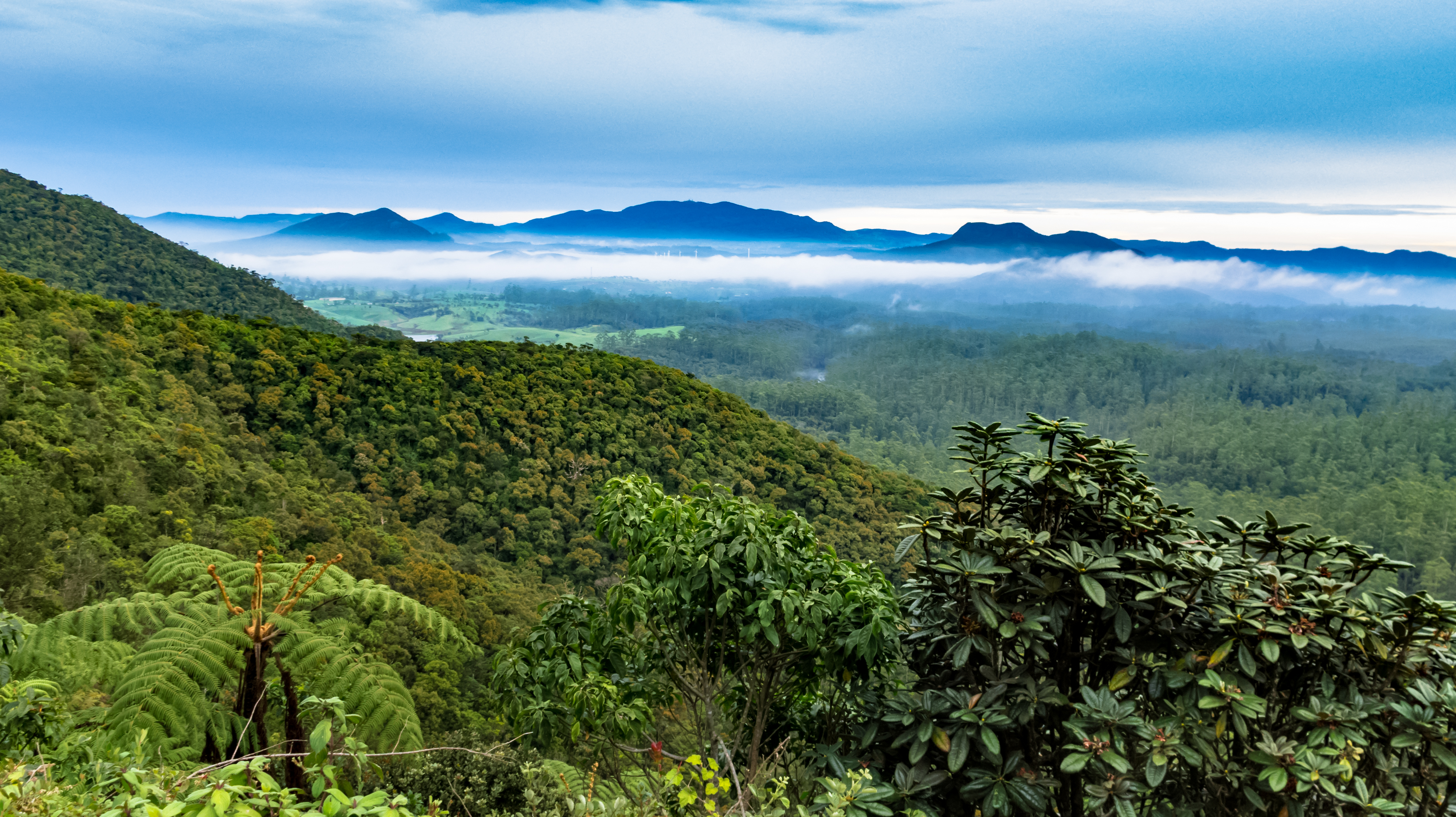 Blick an einem nebligen Morgen auf die Hügel der Horton Plains, Dschungel, Berge und Himmel, Sri Lanka.