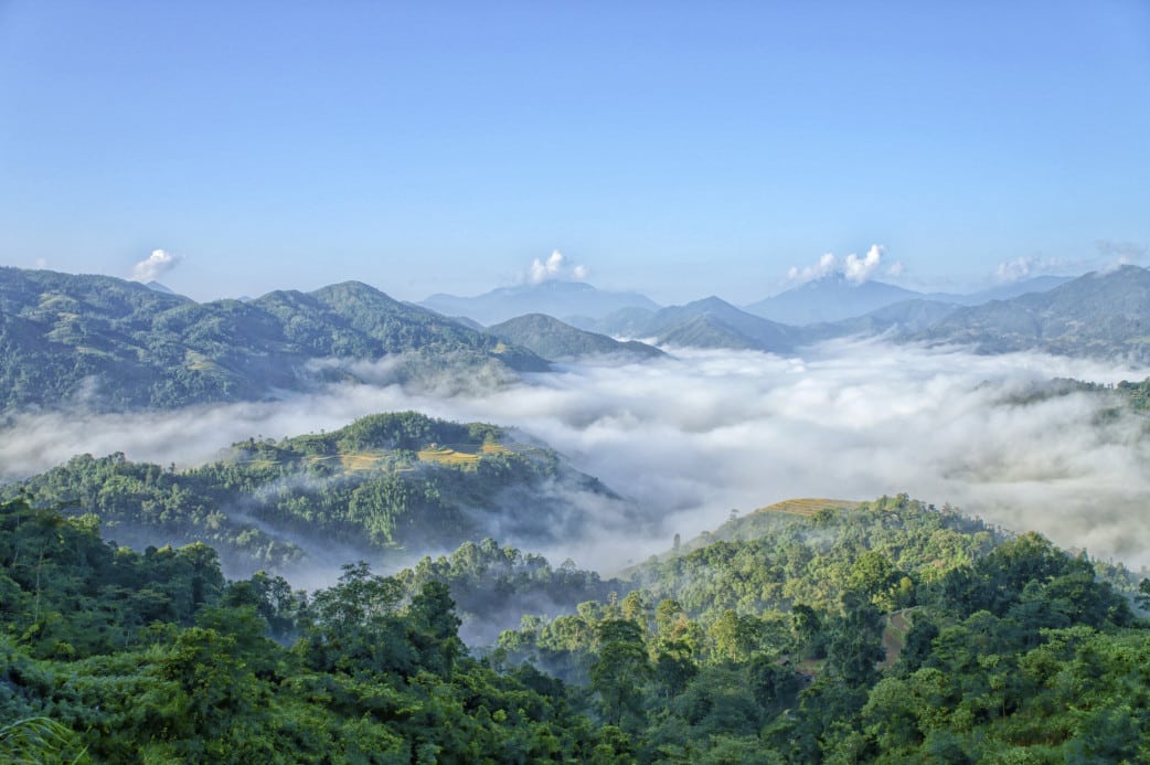 Wandern durch grüne Reisterrassen auf einer Vietnam-Trekkingreise