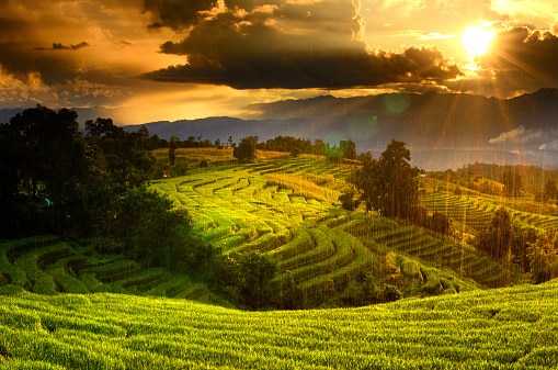 Flusslandschaft auf einer Individualreise durch Vietnam und Laos