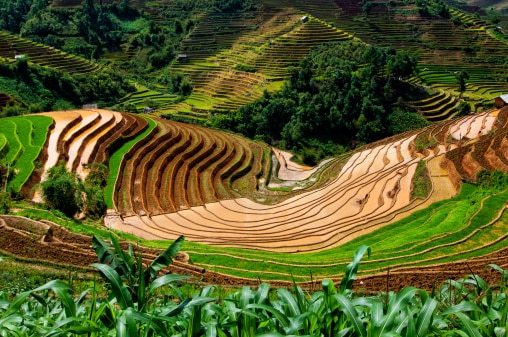 Landschaft von Vietnam 