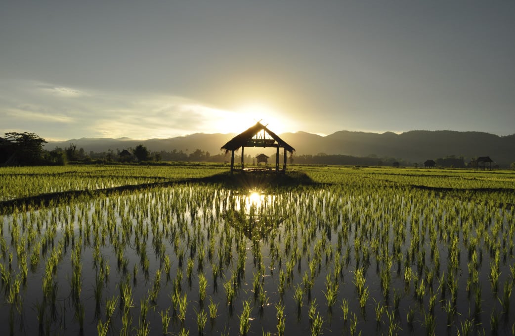 Individual Reisen nach Laos im Februar