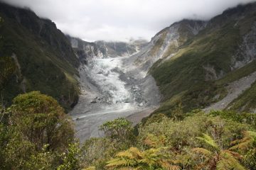 Franz Josef Glacier - Westcoast - Neuseeland eise im Januar