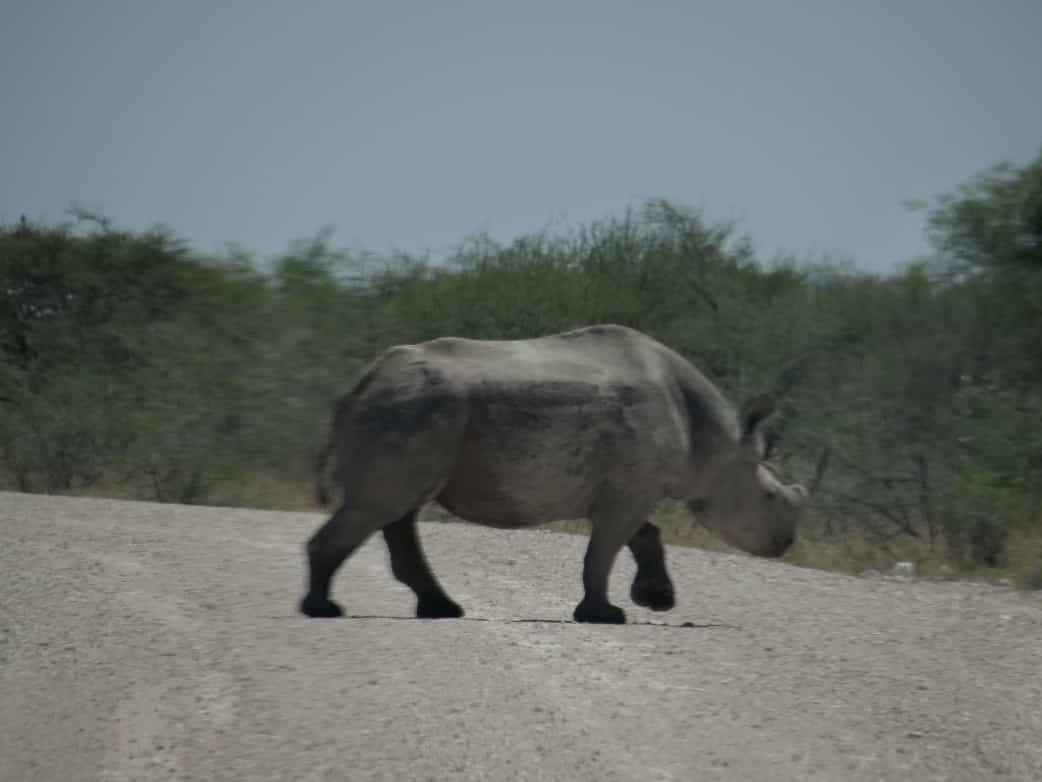 Als frau alleine durch namibia reisen