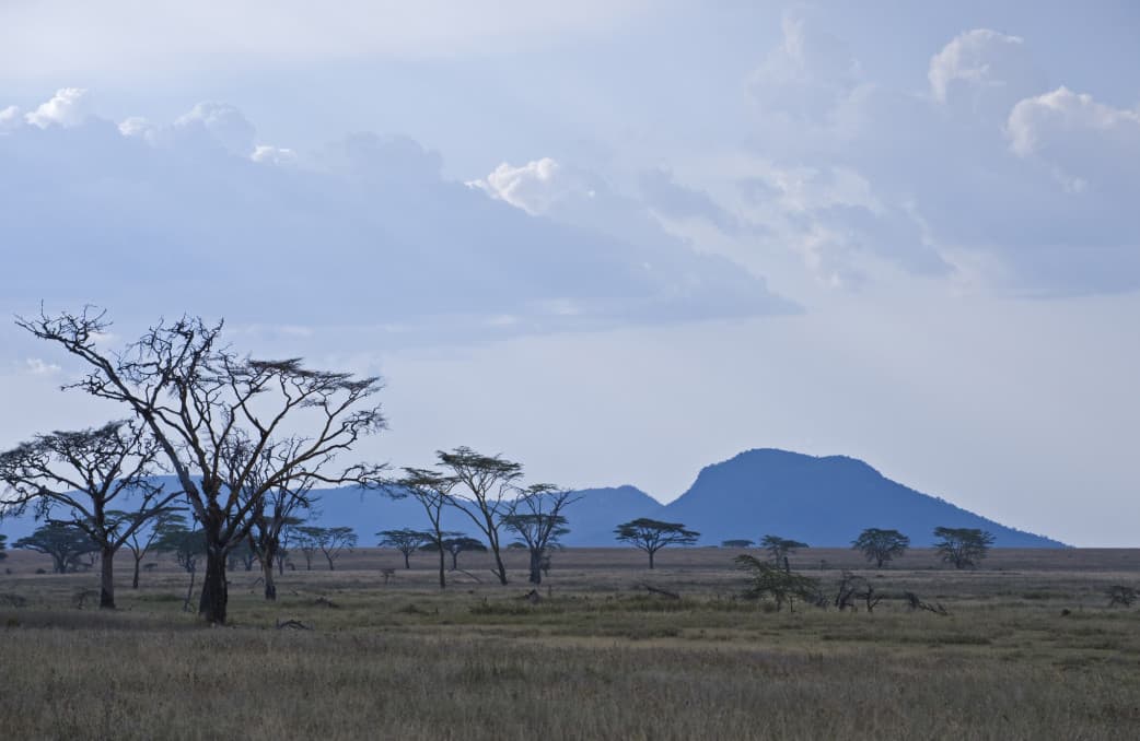 Familiensafari durch den serengeti nationalpark