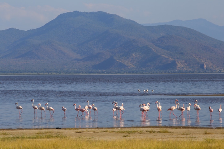 Lake Manyara