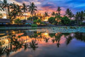 Palmen und Wasser bei Sonnenuntergansfarben