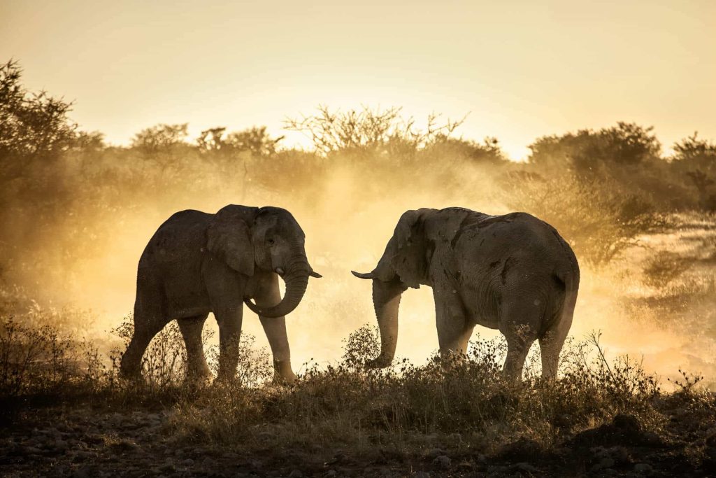 Botswana Rundreisen