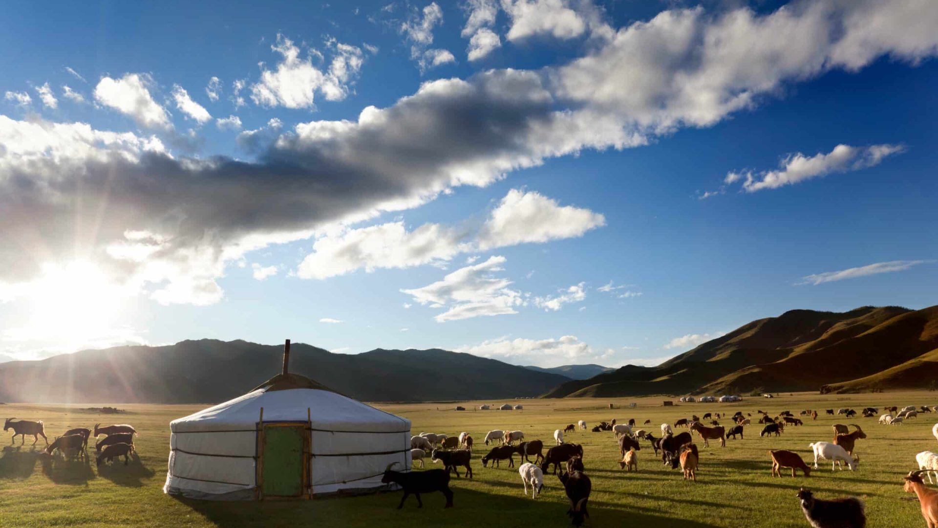 Jurtencamp in der mongolischen Steppe auf einer Mongolei Rundreise