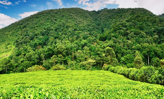 Entspannung & lokale Begegnungen