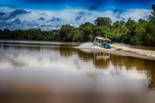 Boot fährt auf dem Kinabatangan-Fluss durch den Regenwald von Sabah