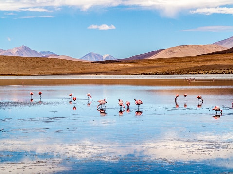 Chile atacama salzsee