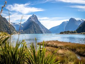 neuseeland selbstfahrer