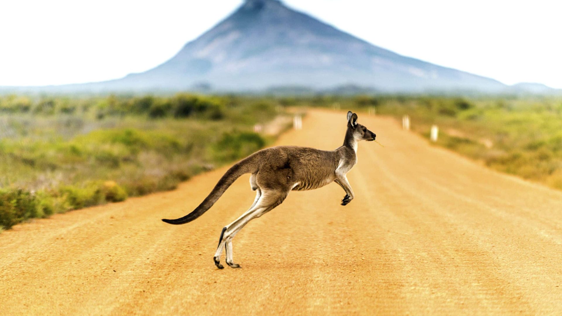 Welche Sprache spricht man in Namibia? Amtssprache & Dialekt