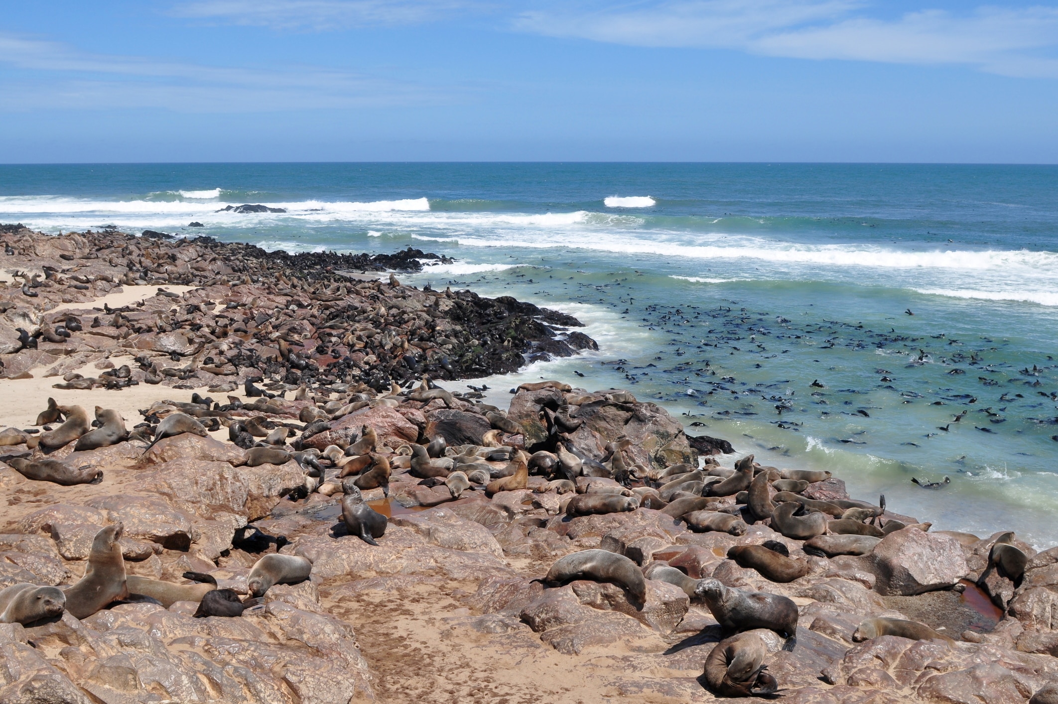 Robbenkolonie am Cape Cross an Namibias Atlantikküste