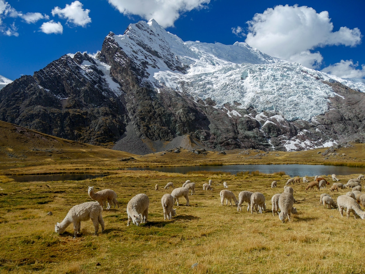 Trekking in der Berglandschaft des Ausangate in Peru
