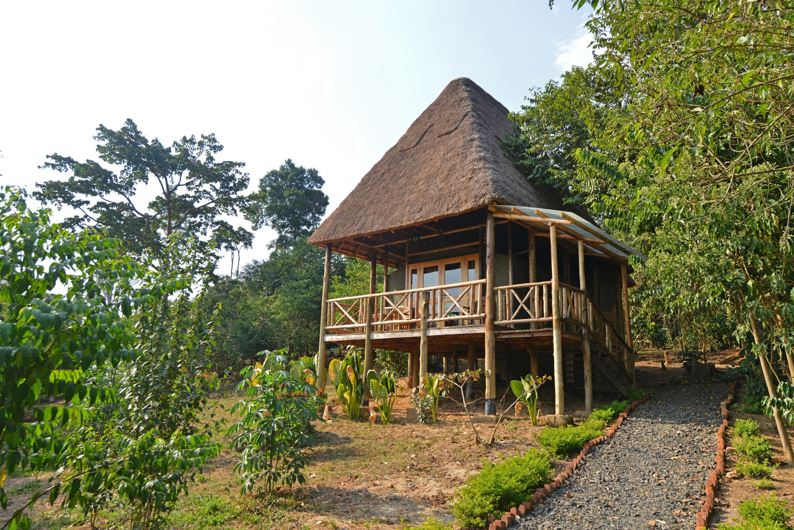 Bugoma Jungle Lodge zwischen Bäumen im Bugoma Forest in Uganda