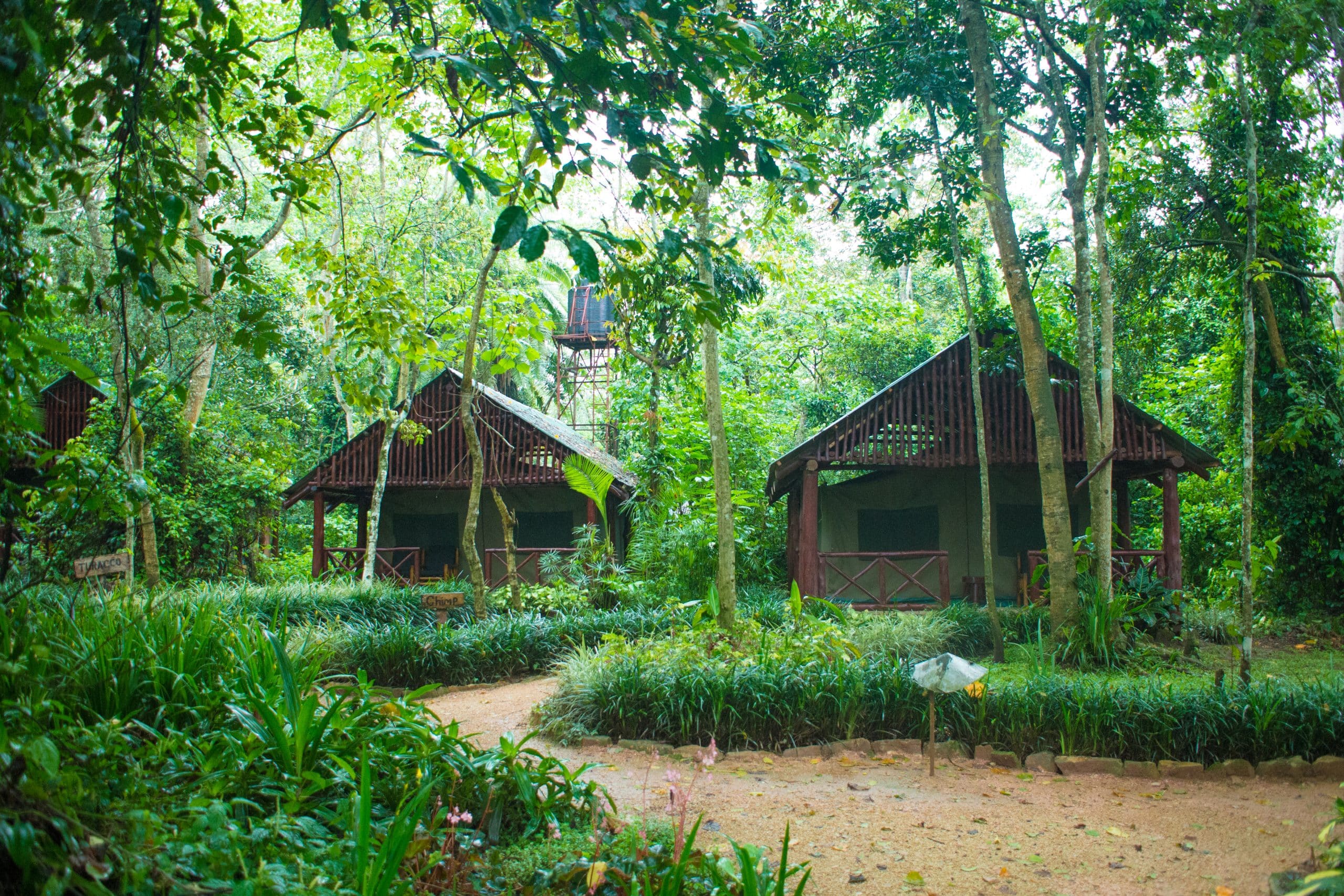 Safari-Zelte des Kibale Forest Camps im Regenwald von Uganda