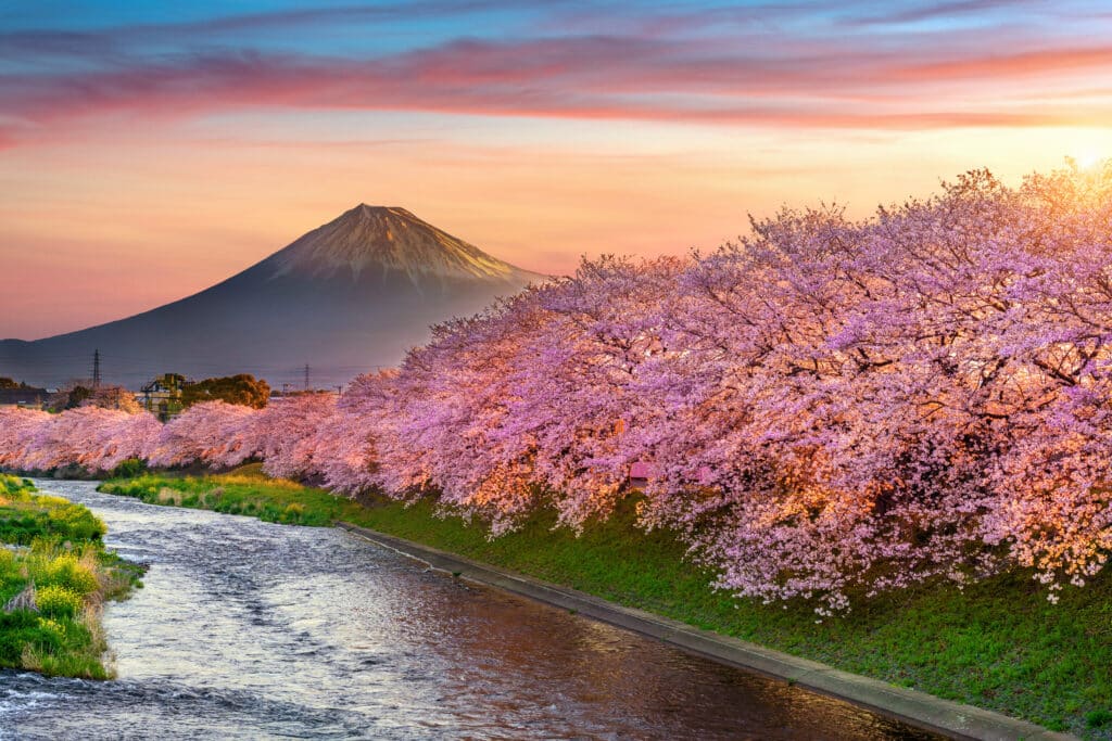 FUJI HORIZONTE